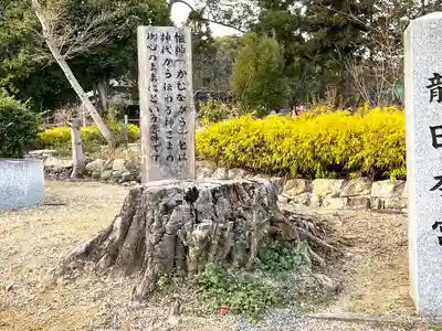 龍田大社(奈良県)