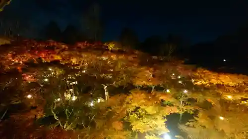 東福禅寺（東福寺）の{uncategorized: "未分類", other: "その他", undefined: "問題あり", building: "その他建物", grave: "お墓", sacred_gate: "鳥居", guardian: "狛犬", statue: "像", buddha: "仏像", history: "歴史", nature: "自然", garden: "庭園", animal: "動物", pagoda: "塔", temizu: "手水舎", mountain_gate: "山門・神門", sanctuary: "本殿・本堂", subordinate: "末社・摂社", art: "芸術", scenery: "景色", jizo: "地蔵", ema: "絵馬", goshuin: "御朱印", omikuji: "おみくじ", items: "授与品その他", amulet: "お守り", goshuincho: "御朱印帳", eats: "食事", festival: "お祭り", votive_dance: "神楽", shichigosan: "七五三参", wedding: "結婚式", experience: "体験その他", initially: "初詣", around: "周辺", anti_infection: "感染症対策"}