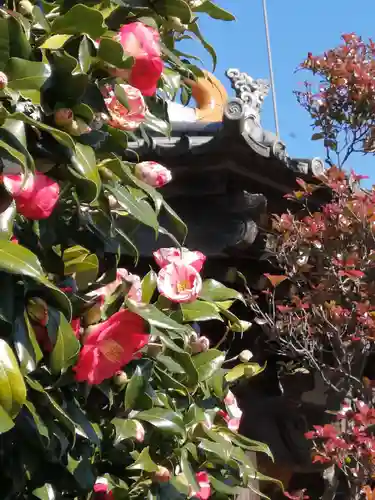 大楽寺のその他建物