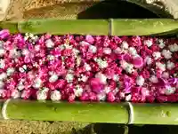 立志神社の手水舎