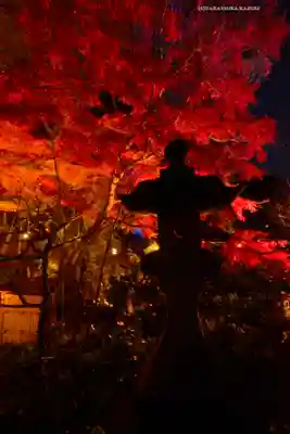 長谷寺(神奈川県)