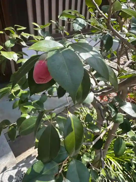 一宮神社の{uncategorized: "未分類", other: "その他", undefined: "問題あり", building: "その他建物", grave: "お墓", sacred_gate: "鳥居", guardian: "狛犬", statue: "像", buddha: "仏像", history: "歴史", nature: "自然", garden: "庭園", animal: "動物", pagoda: "塔", temizu: "手水舎", mountain_gate: "山門・神門", sanctuary: "本殿・本堂", subordinate: "末社・摂社", art: "芸術", scenery: "景色", jizo: "地蔵", ema: "絵馬", goshuin: "御朱印", omikuji: "おみくじ", items: "授与品その他", amulet: "お守り", goshuincho: "御朱印帳", eats: "食事", festival: "お祭り", votive_dance: "神楽", shichigosan: "七五三参", wedding: "結婚式", experience: "体験その他", initially: "初詣", around: "周辺", anti_infection: "感染症対策"}