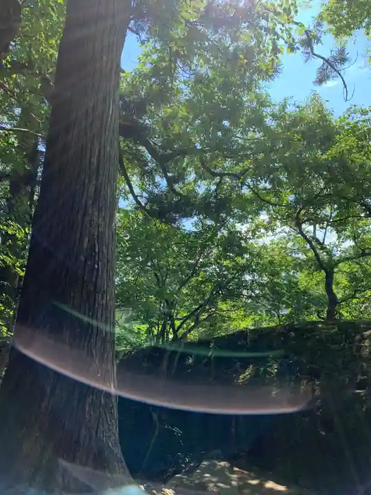 塔のへつりの自然