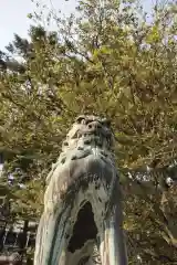 尾山神社の狛犬