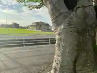 賽の大神(岡山県)