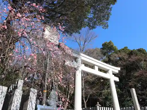 保久良神社の鳥居