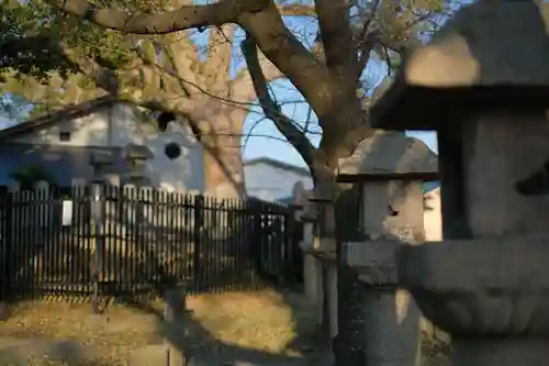 泉穴師神社のその他建物