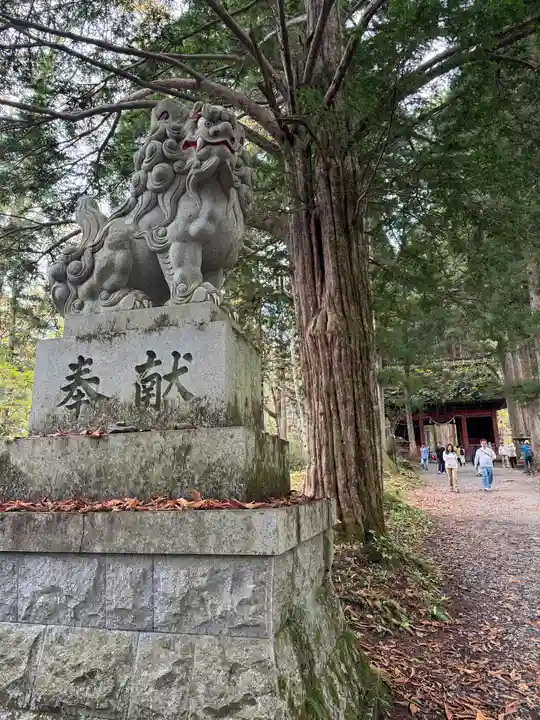 戸隠神社奥社(長野県)
