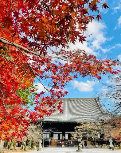 真正極楽寺（真如堂）の本殿・本堂