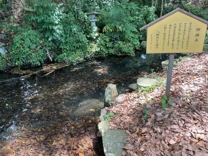 厄除八幡宮 (兵庫県)