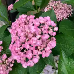 豊景神社の自然