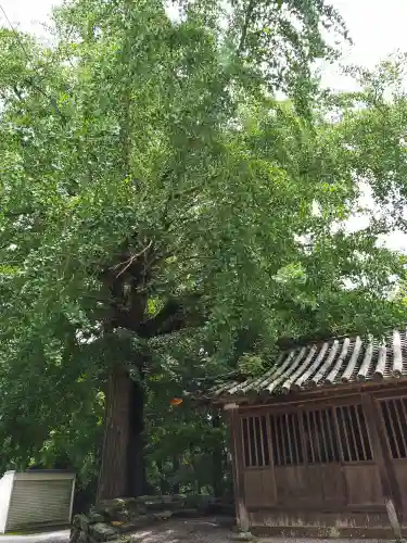 恩山寺(徳島県)