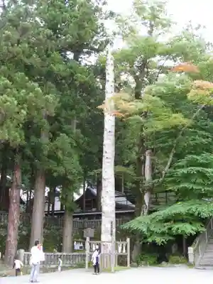 諏訪大社(長野県)