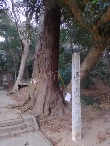 日吉神社(千葉県)