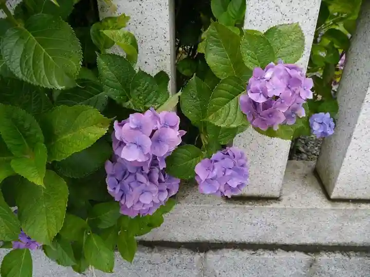 龍口明神社の自然