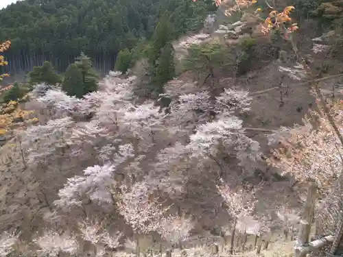 金峯神社（吉野町）の自然