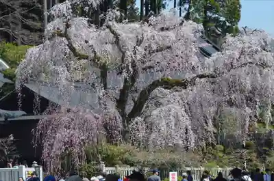 久遠寺(山梨県)