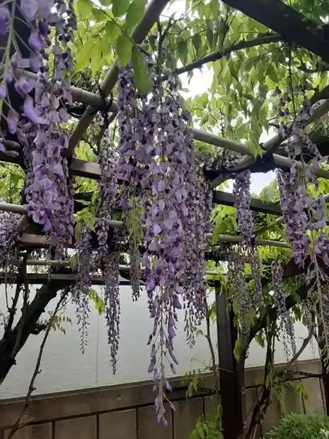 西方山極楽寺(岐阜県)