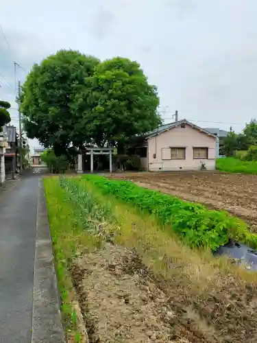 撞賢木厳之御魂天疎向津媛命神社(奈良県)