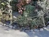 阿佐ヶ谷神明宮(東京都)