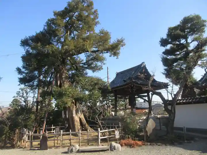 妙法寺(神奈川県)