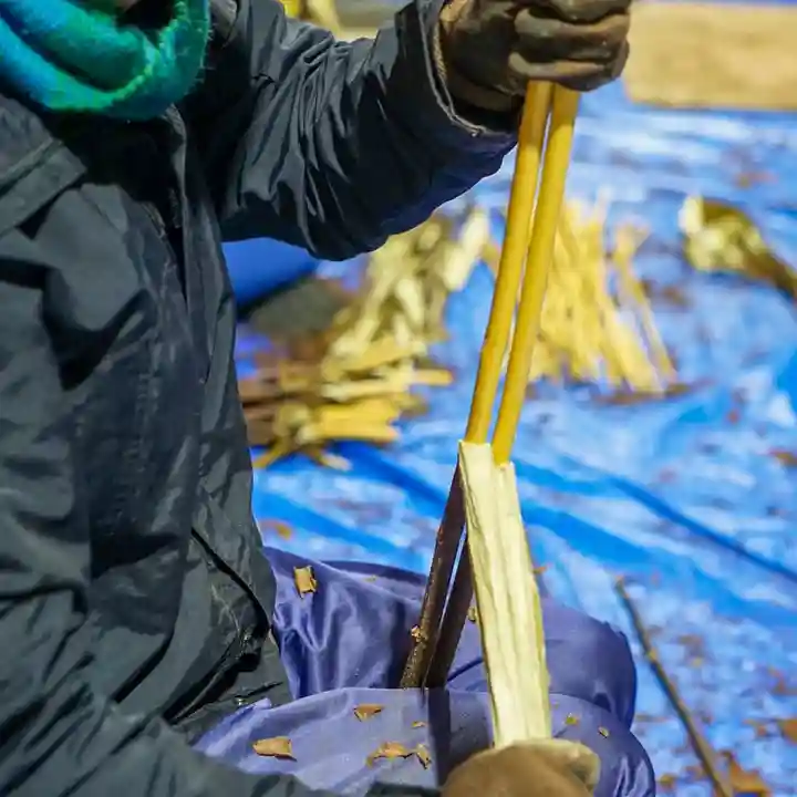 諫早神社(九州総守護 四面宮)(長崎県)
