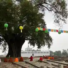 定林山　能成寺の周辺