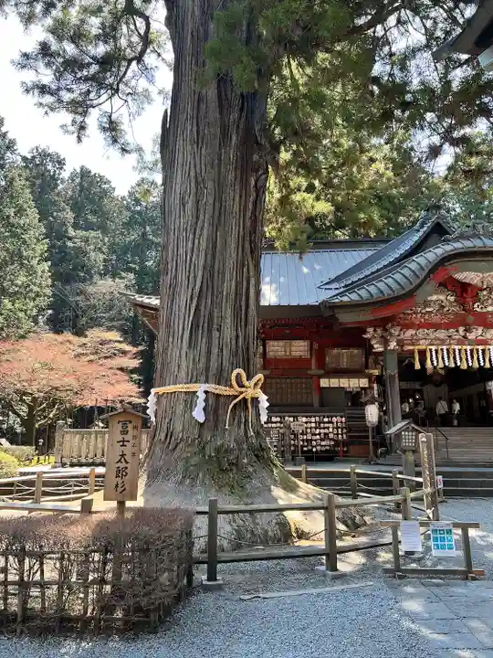 北口本宮冨士浅間神社(山梨県)