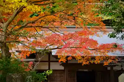 円覚寺(神奈川県)