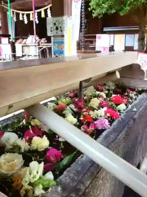 鳩森八幡神社の手水舎