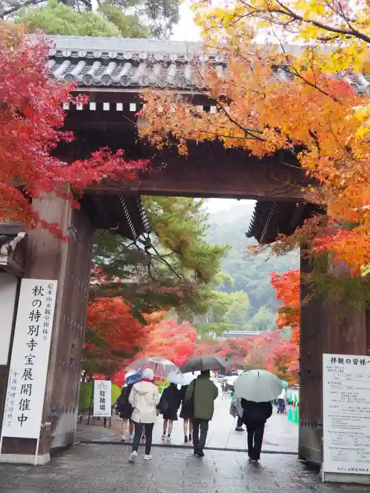 禅林寺(永観堂)(京都府)