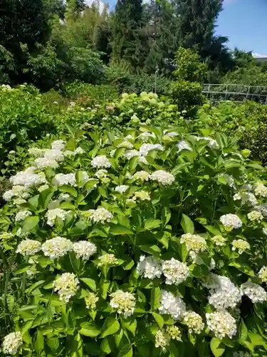 豊景神社(福島県)