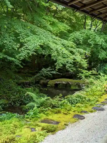 光明寺瑠璃光院(京都府)