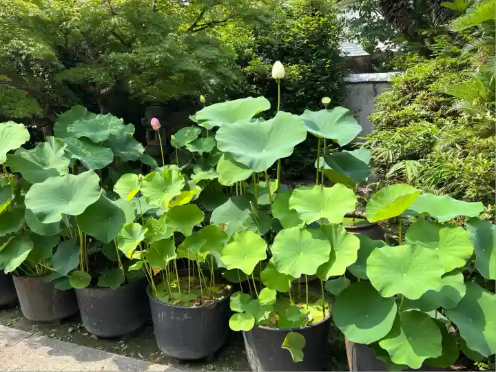 伊勢の国 四天王寺(三重県)