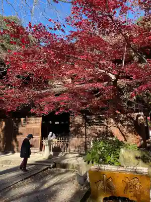 定光寺(愛知県)