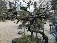 飛鳥寺の庭園