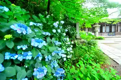 高幡不動尊　金剛寺(東京都)