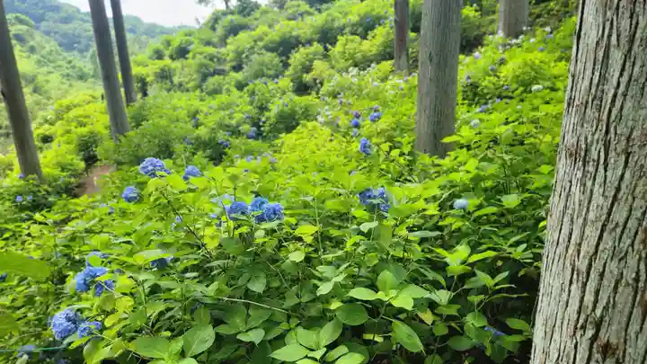 高林寺(福島県)