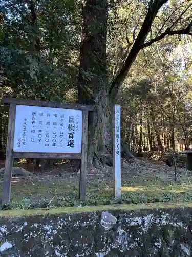 狭野神社の{uncategorized: "未分類", other: "その他", undefined: "問題あり", building: "その他建物", grave: "お墓", sacred_gate: "鳥居", guardian: "狛犬", statue: "像", buddha: "仏像", history: "歴史", nature: "自然", garden: "庭園", animal: "動物", pagoda: "塔", temizu: "手水舎", mountain_gate: "山門・神門", sanctuary: "本殿・本堂", subordinate: "末社・摂社", art: "芸術", scenery: "景色", jizo: "地蔵", ema: "絵馬", goshuin: "御朱印", omikuji: "おみくじ", items: "授与品その他", amulet: "お守り", goshuincho: "御朱印帳", eats: "食事", festival: "お祭り", votive_dance: "神楽", shichigosan: "七五三参", wedding: "結婚式", experience: "体験その他", initially: "初詣", around: "周辺", anti_infection: "感染症対策"}
