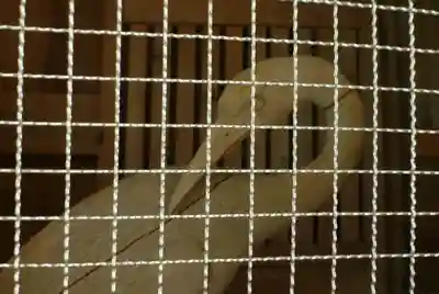 鶴林寺(徳島県)