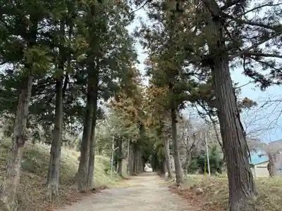 千代ケ岡八幡宮(栃木県)
