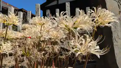 玉田神社(京都府)