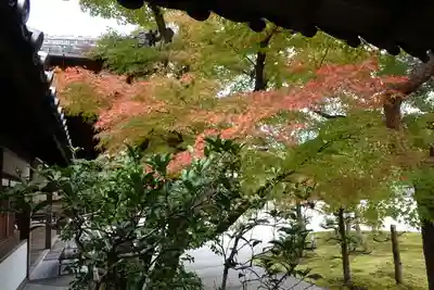 仁和寺のその他建物