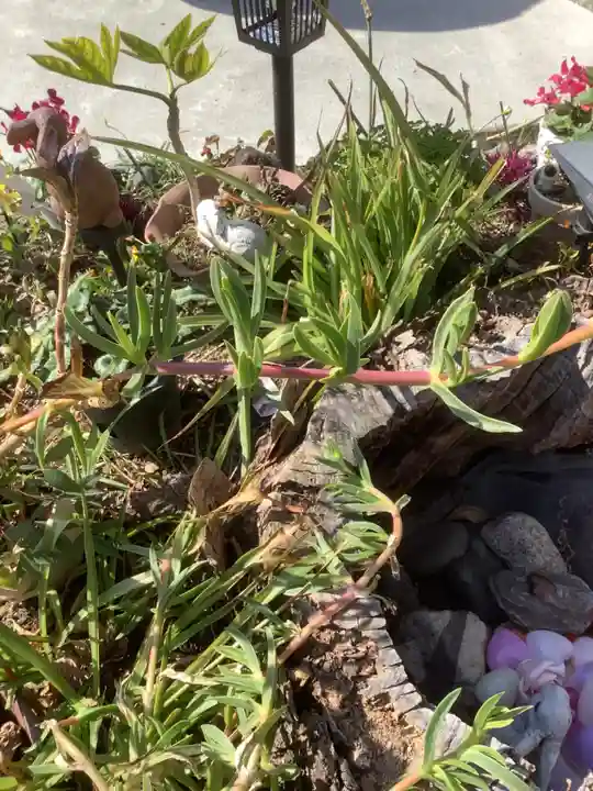 三輪神社の自然