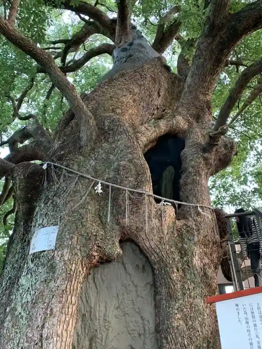 山王神社(長崎県)