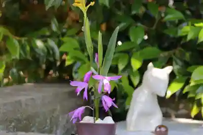 開成山大神宮の手水舎