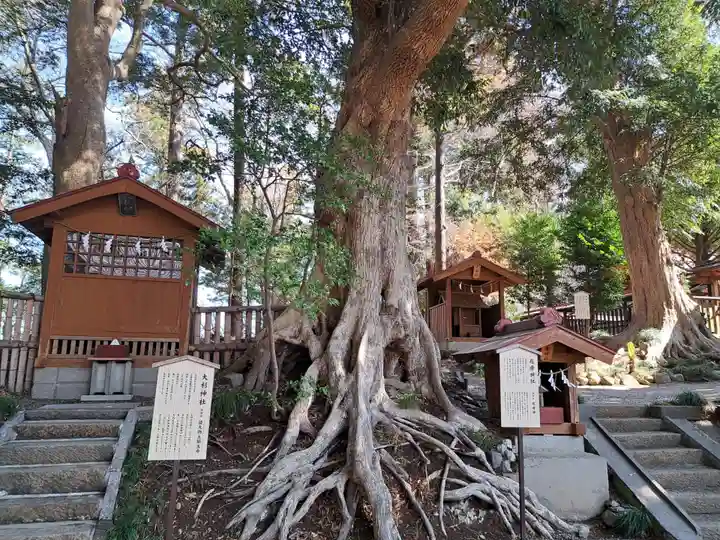塚崎神明社(千葉県)