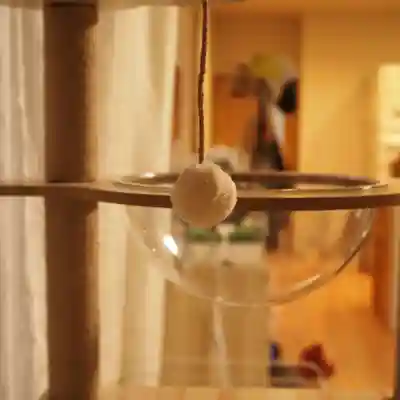 天王山 安楽寺(福井県)