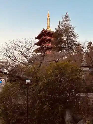 高幡不動尊　金剛寺(東京都)