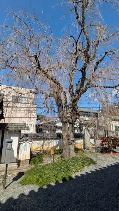 恵福寺(京都府)